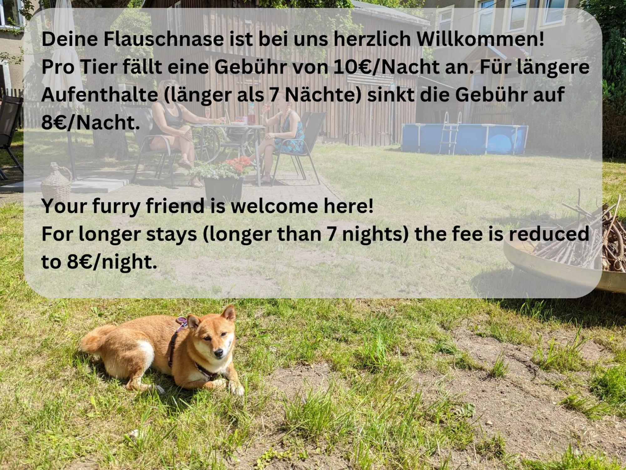 H1 - Urlaubsmagie - Pool & Terrasse Zum Entspannen Apartment Sebnitz